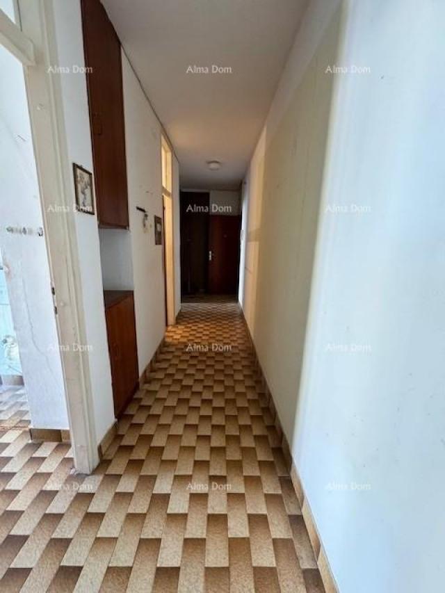 House Apartment Vidikovac