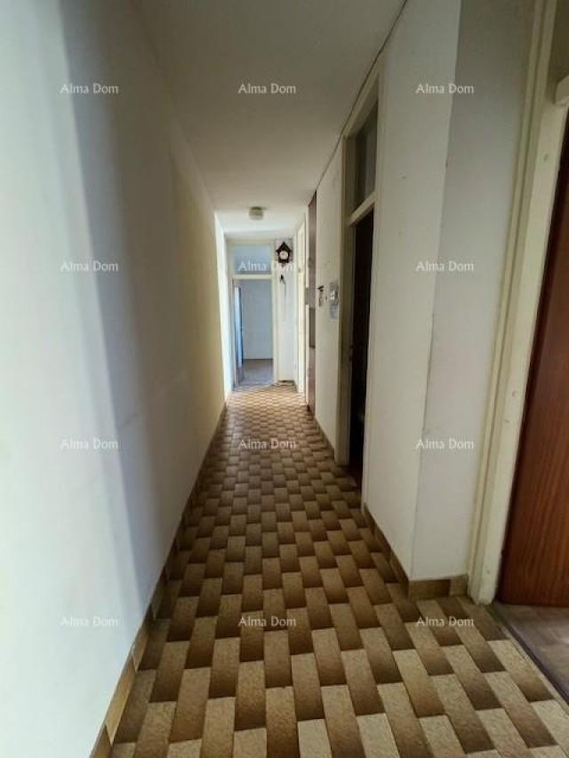 House Apartment Vidikovac