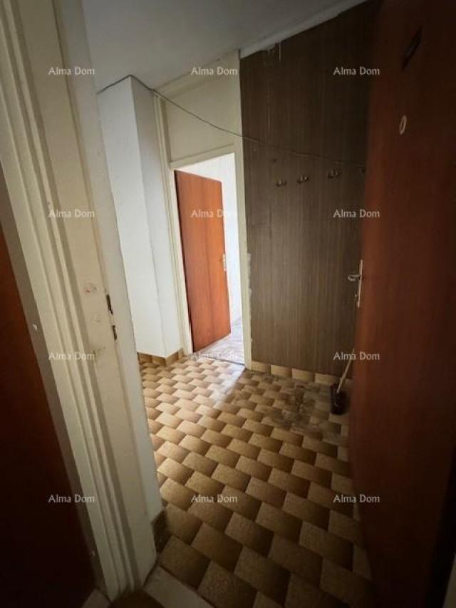 House Apartment Vidikovac