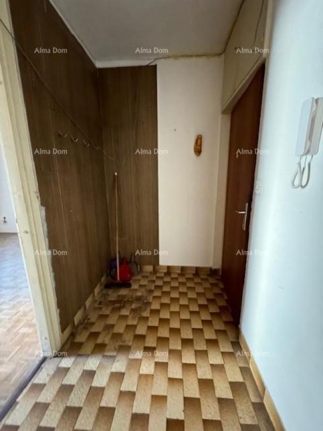 House Apartment Vidikovac