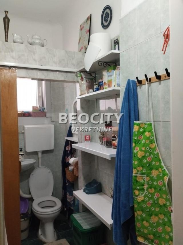 Novi Sad, Futoška, Futoška, 0. 5, 20m2, 300EUR Pet friendly