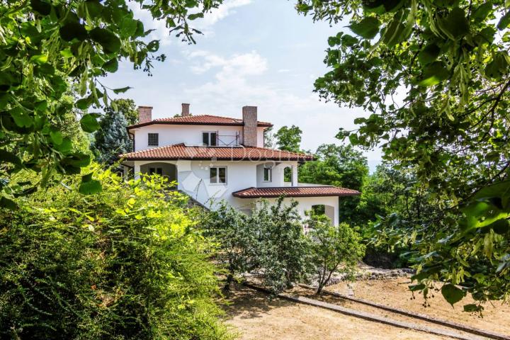 House Poljane, Opatija - Okolica, 500m2