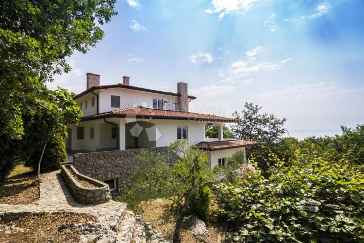 House Poljane, Opatija - Okolica, 500m2