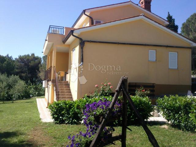 House Drenje, Raša, 350m2