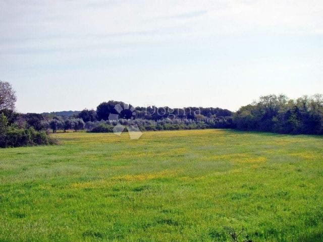 Land Ližnjan, 16.000m2