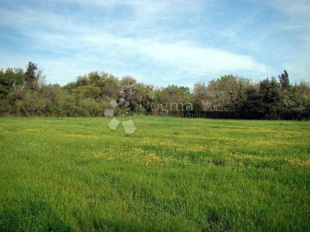 Land Ližnjan, 16.000m2