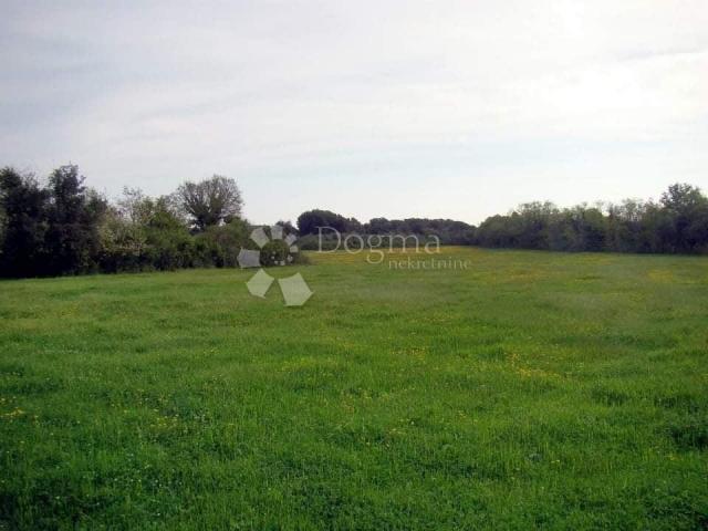 Land Ližnjan, 16.000m2