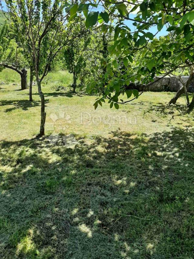 Land Grižane-Belgrad, Vinodolska Općina, 350m2