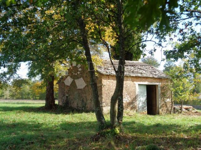 Grundstück Jurići, Žminj, 20.000m2