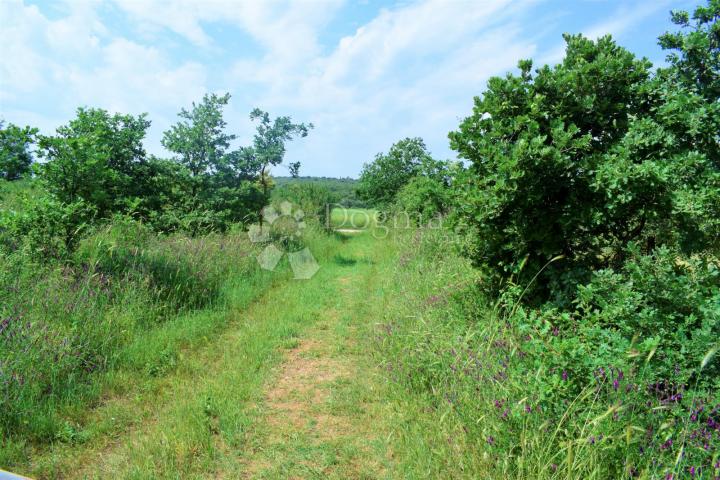 BEAUTIFUL LAND NEAR THE SEA