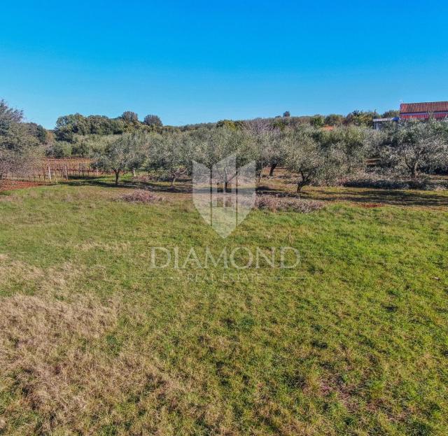 Land Pula, 2.931m2