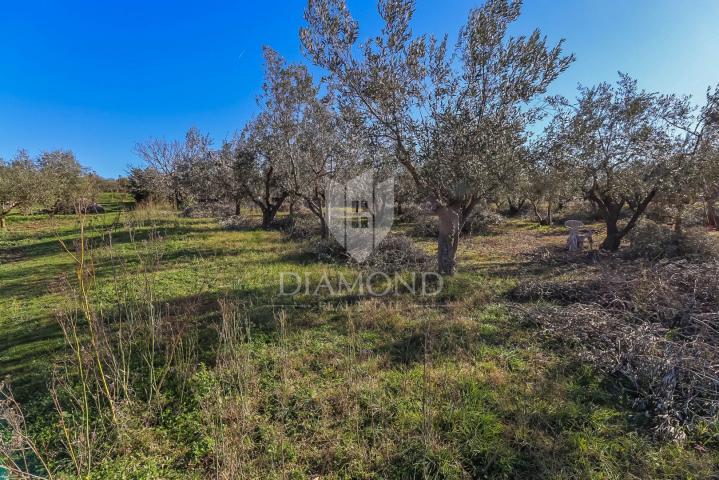 Land Pula, 2.931m2