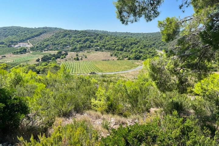 Vis, Kulor/Smokova, atraktivno zemljište površine 13698 m2 sa pogledom na more