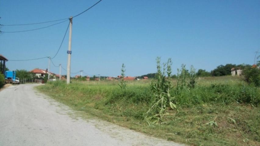 Prodaja, Plac, 10000. 00m2 , Vinogradi