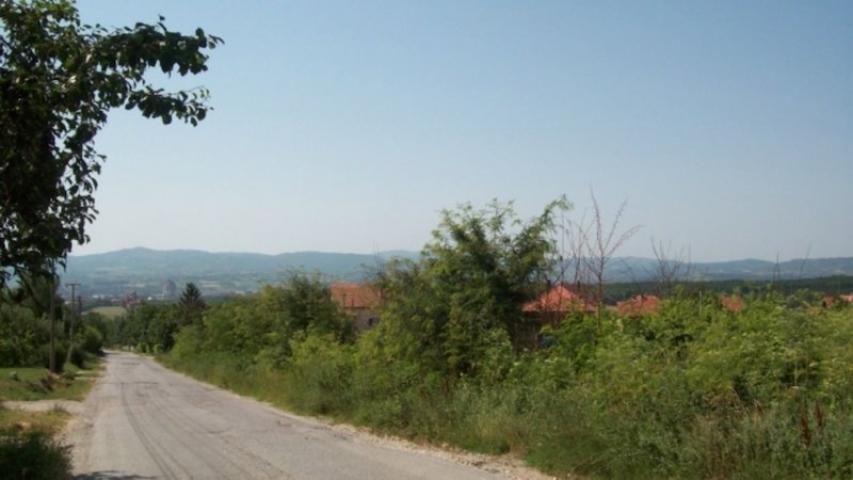 Prodaja, Plac, 10000. 00m2 , Vinogradi