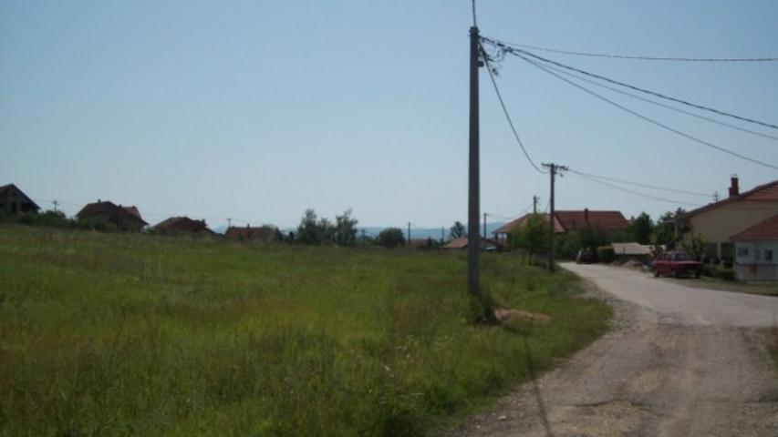 Prodaja, Plac, 10000. 00m2 , Vinogradi