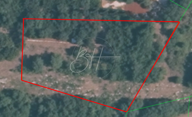 Land Nova Vas, Brtonigla, 4.625m2