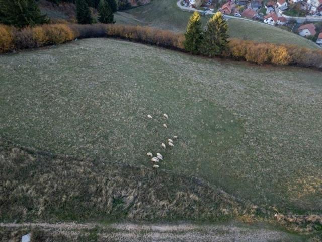 Prodaje se građevinsko zemljište 1262 m2, Zlatar, Nova Varoš