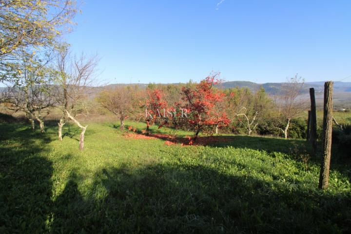 Istria - Motovun, building land, view of Motovun