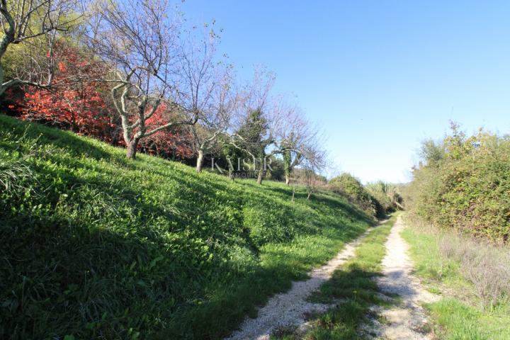 Istria - Motovun, building land, view of Motovun