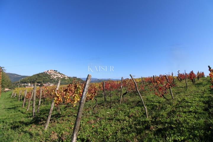 Istria - Motovun, building land, view of Motovun