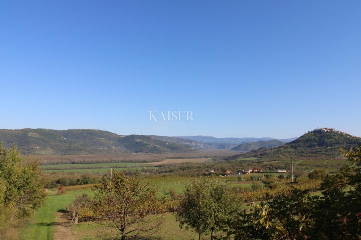 Istria - Motovun, agricultural land, view of Motovun