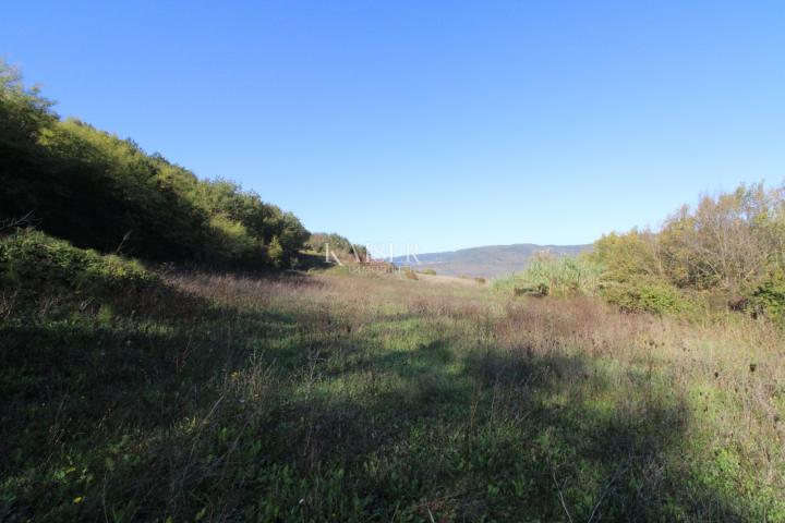 Istria - Motovun, agricultural land, view of Motovun