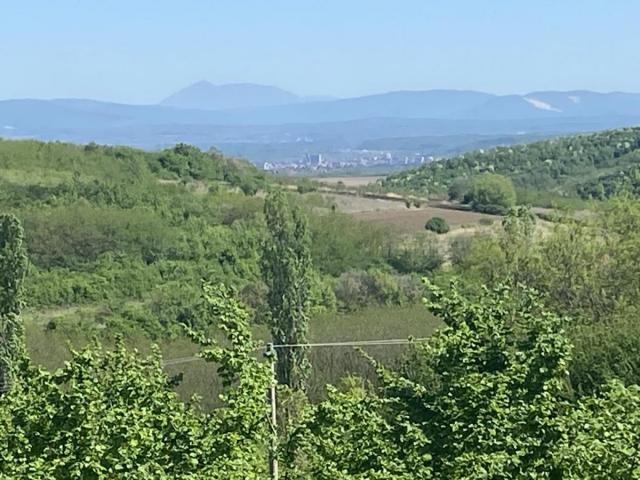 ORGANSKA plantaža - lešnik u celini