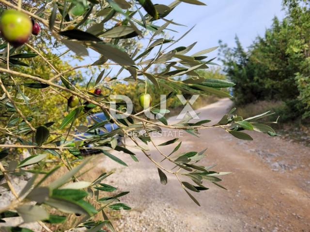 Otok Krk, Šilo -  Očišćeno, ravno poljoprivredno zemljište, buduće građevinsko, 600m do prekrasnih p