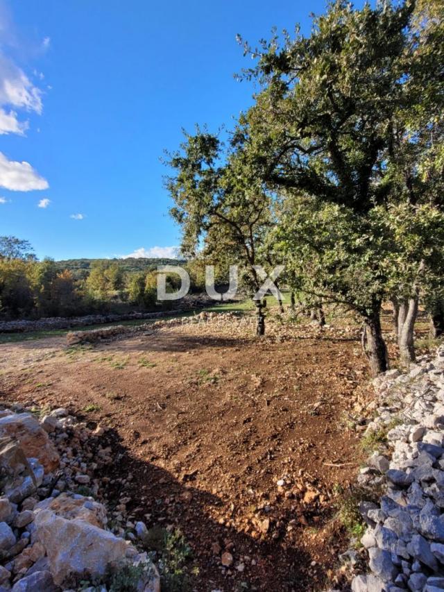 Otok Krk, Šilo -  Očišćeno, ravno poljoprivredno zemljište, buduće građevinsko, 600m do prekrasnih p