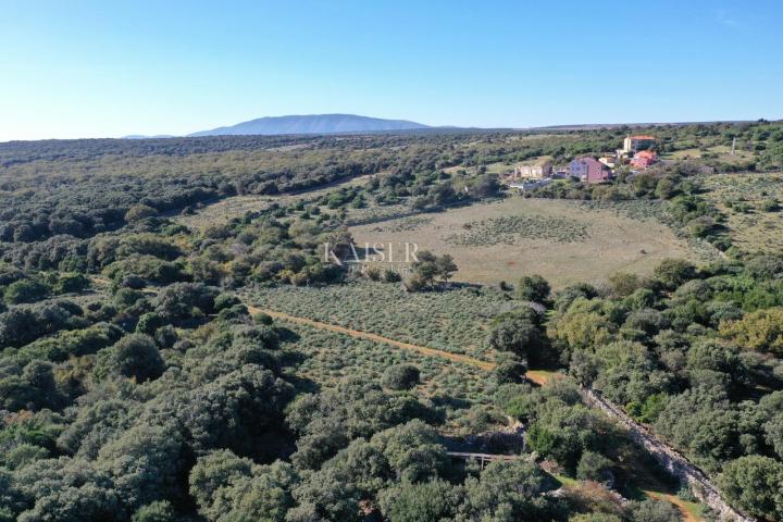 Belej, otok Cres - prostrano zemljište s kamenom kućicom