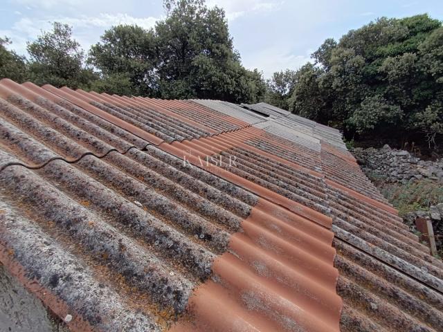 Belej, otok Cres - prostrano zemljište s kamenom kućicom