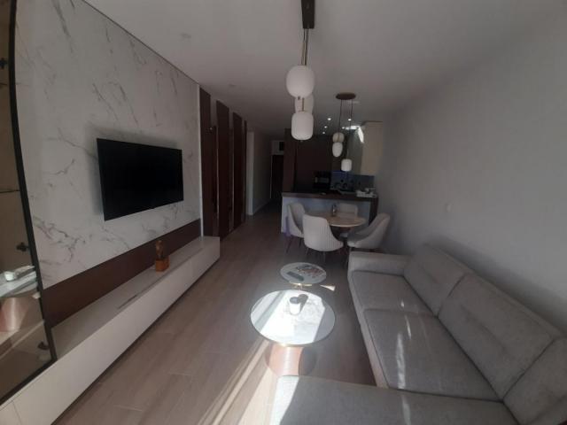 Luxurious Apartment for Rent 65 m2, Dobrota