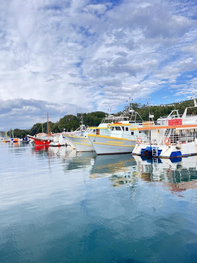 Otok Krk, Punat - predivan apartman s bazenom