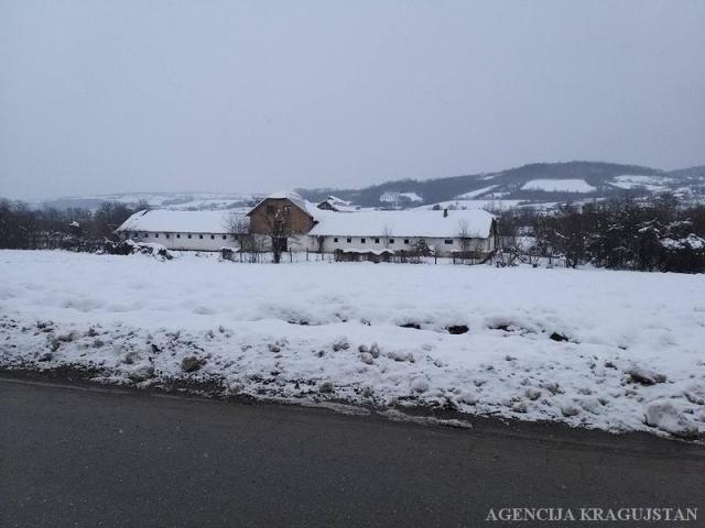 Izdavanje, Lokal, 809. 00m2 , Grošnica