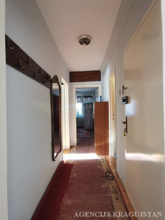 Izdavanje, Stan, 49. 00m2 , Bubanj