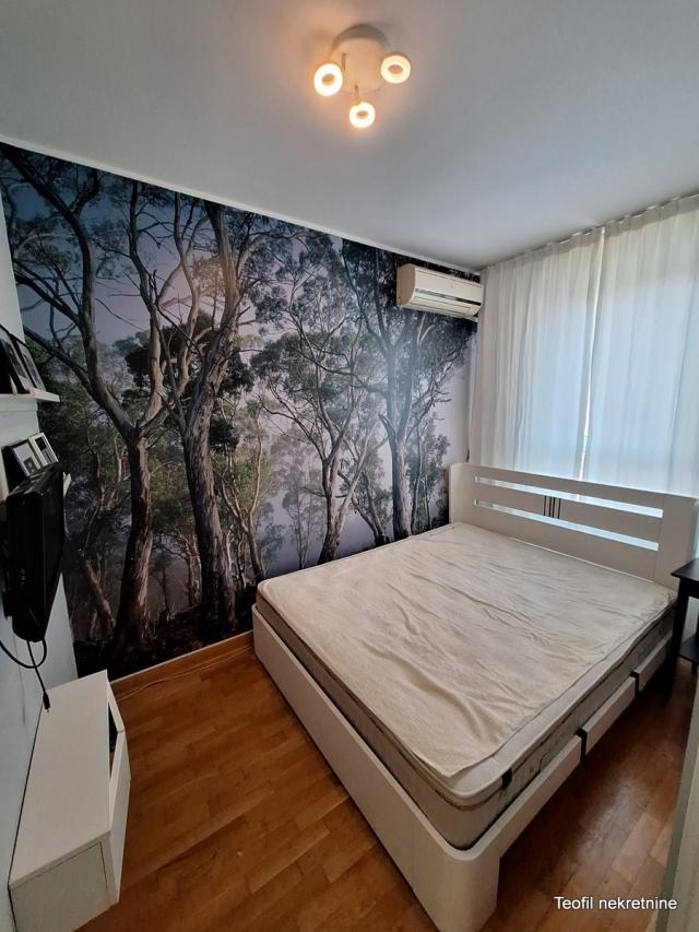 NOVI BEOGRAD BELVIL 50m2 , (T) , 800e