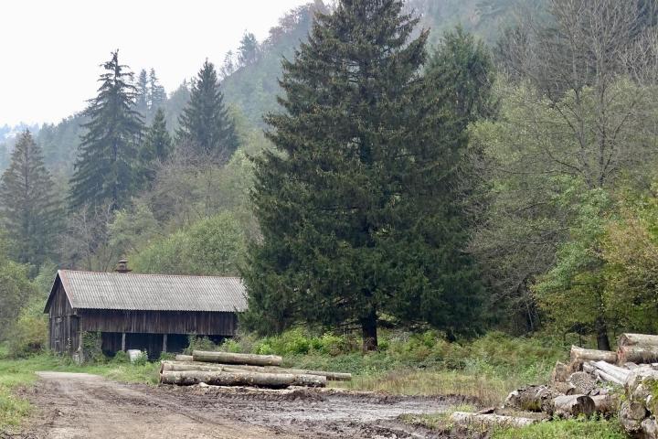 Donja Dobra, Proizvodna hala, površina objekta i okućnice 17210m2