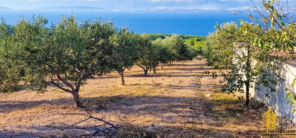 Poljoprivredno zemljište, Sutivan - Maslinik 20 000m2