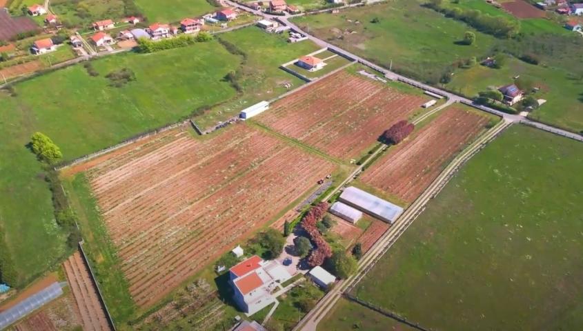 Poljoprivredno gazdinstvo sa više objekata i zasadima vinove loze, Podgorica