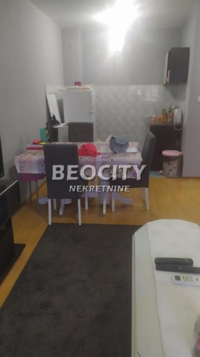 Novi Sad, Centar, Arse Teodorovića, 1. 5, 36m2, 360EUR