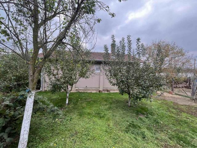 New house surrounded by greenery