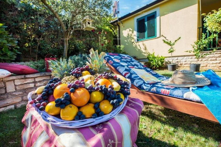 Kuća Prodajemo kuću, blizina uvale Cuve, s dodatnim objektima. 