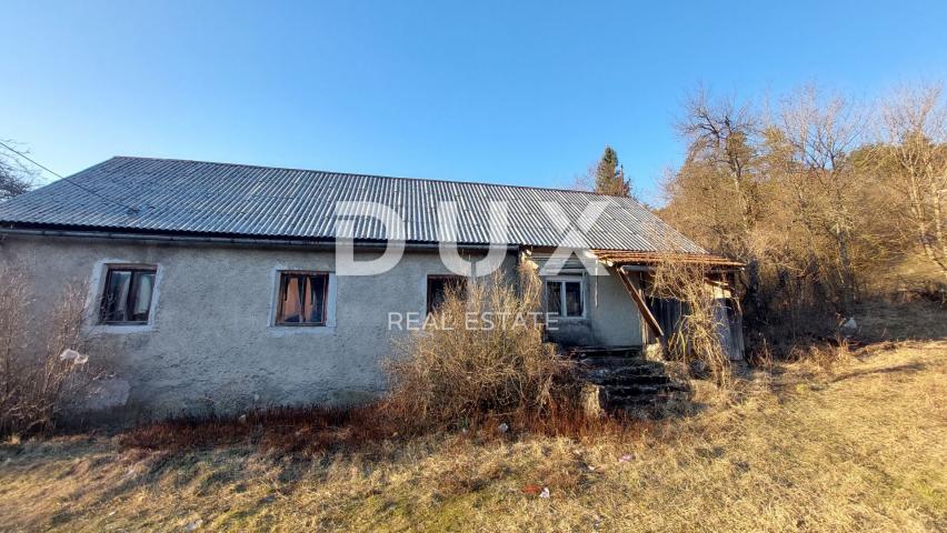 DREŽNICA, BJELOLASICA - Two houses with spacious land and tourist potential in untouched nature