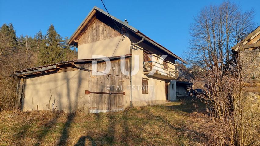 DREŽNICA, BJELOLASICA - Two houses with spacious land and tourist potential in untouched nature