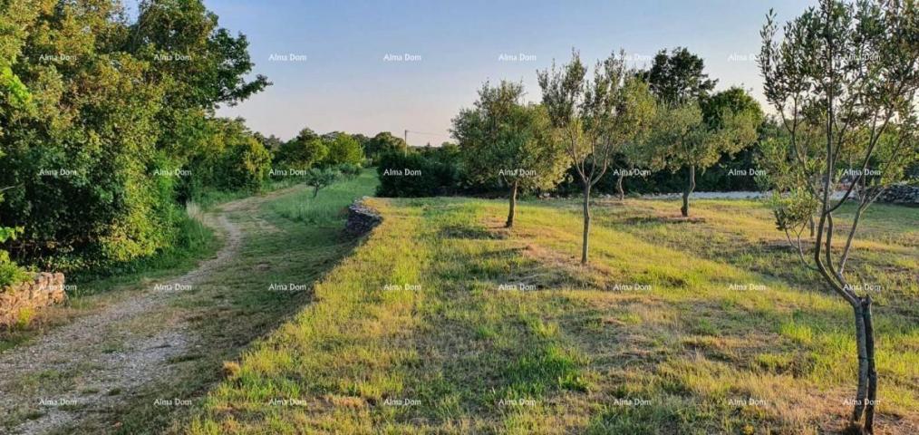 Building land Building land for sale, Marčana