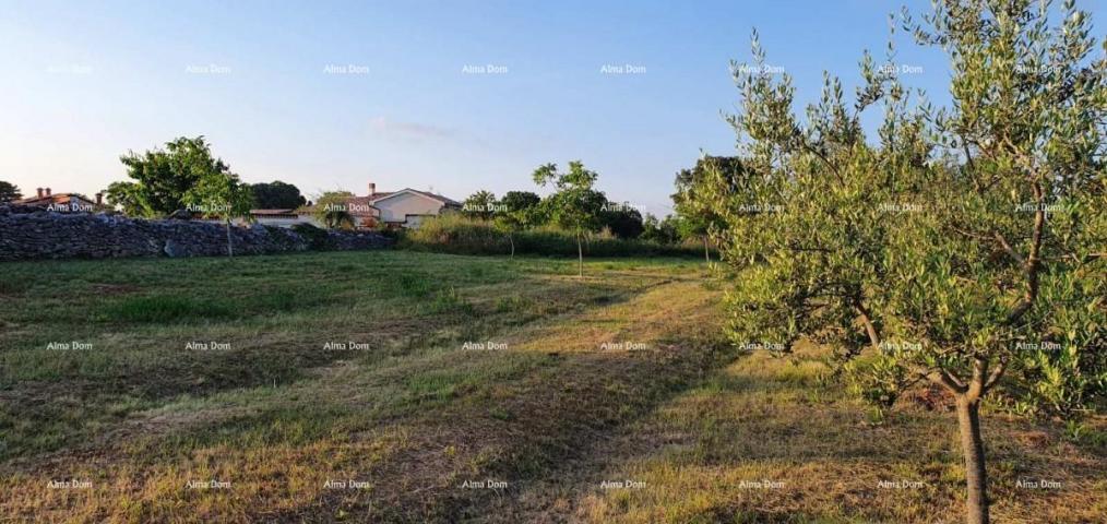 Building land Building land for sale, Marčana