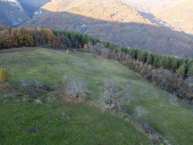 Prodaje se polj. gazdinstvo sa 3 objekta , 4, 76 ha, Čauševići, Prijepolje