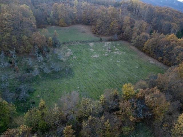 Prodaje se polj. gazdinstvo sa 3 objekta , 4, 76 ha, Čauševići, Prijepolje