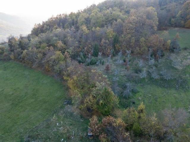 Prodaje se polj. gazdinstvo sa 3 objekta , 4, 76 ha, Čauševići, Prijepolje